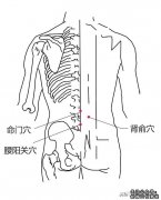 腰阳关穴的准确位置图|及作用功效