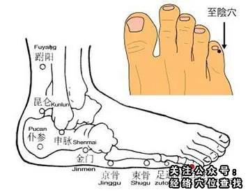 至阴穴准确位置图