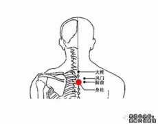 身柱穴​|身柱穴​的准确位置图作用功效