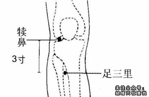 犊鼻穴的准确位置图