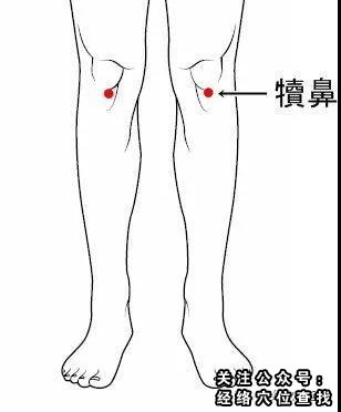 犊鼻穴取穴