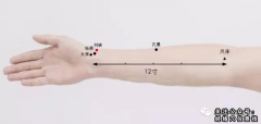 列缺穴|列缺穴的准确位置图|及作用功效