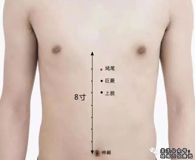 鸠尾穴的准确位置图