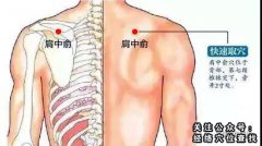 肩中俞|肩中俞穴的准确位置图|及作用功