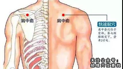 肩中俞穴