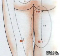 殷门穴|殷门穴的准确位置图|及作用功效