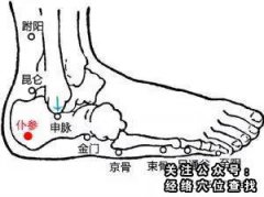 仆参穴|仆参穴的准确位置图|及作用功效