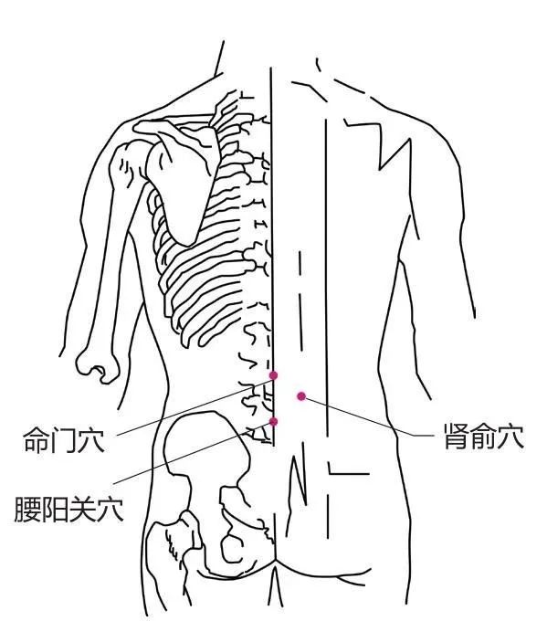腰阳关穴的准确位置图